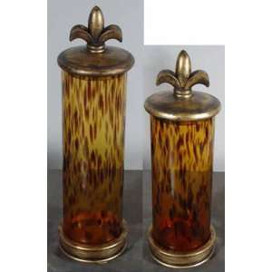  Tiger Glass Canisters (Set of 2)