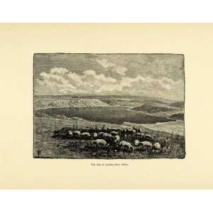  1890 Wood Engraving Sea Galilee Landscape Safed Israel 