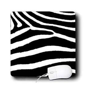  Anne Marie Baugh Animal Prints   Black and White Zebra 
