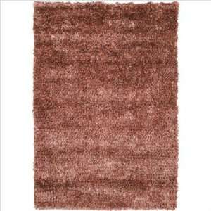  Appleton Rug Co. WL 401 Tour WL 401 Brown Shag Rug Size 5 