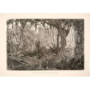  1875 Wood Engraving  Rainforest Sarayacu Peru South 