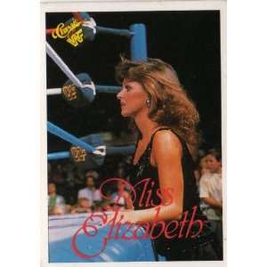 Miss Elizabeth WWF Classic Wrestling Trading Card # 67   Stored in a 