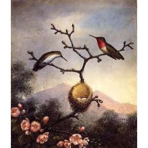   Heade   24 x 28 inches   Ruby Throat 