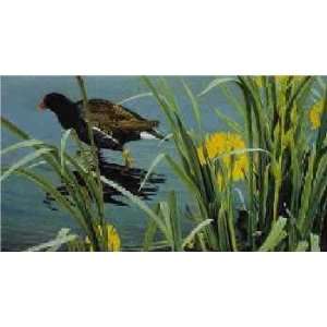  Robert Bateman   Gallinule Family