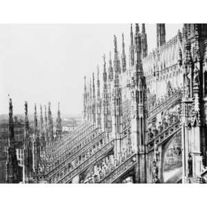   Roof of Milan Cathedral. Milano  dettagli del duomo