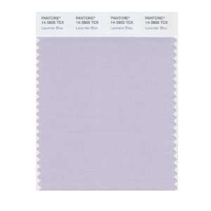  PANTONE SMART 14 3905X Color Swatch Card, Lavender Blue 