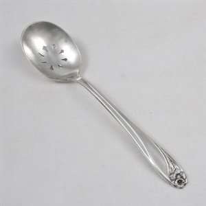 Daffodil by 1847 Rogers, Silverplate Relish Spoon