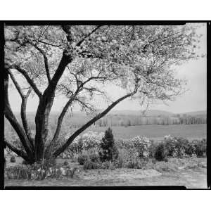  Scalesby,Boyce vic.,Fauquier County,Virginia