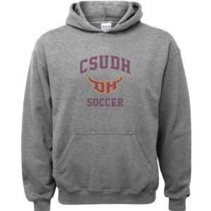Cal State Dominguez Hills Toros Sport Grey Youth Varsity Washed Soccer 