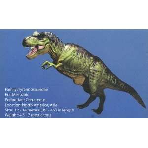   Tyrannosaurus Rex with Moveable Arms & Legs 