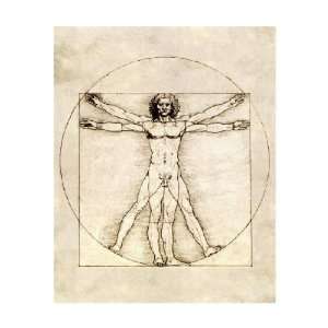  Leonardo Da Vinci   Proportions Of The Human Figure 