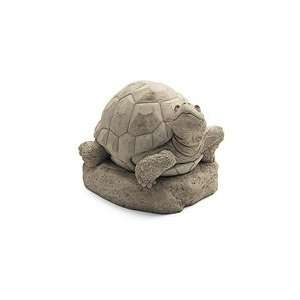 William Turtle Sculpture 