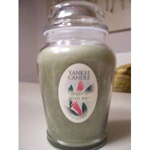Yankee Candle Ginger & Green Tea Scented Candle 