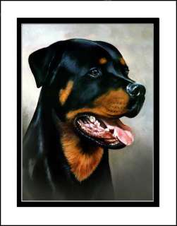 Rottweiler dog s/n print of my painting dbl matted  