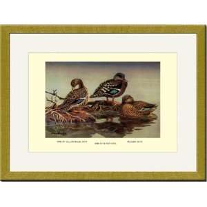  Gold Framed/Matted Print 17x23, African and Mellers Ducks 