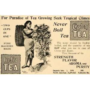  1896 Ad Ceylon Tea India Sri Lanka Tropical Breakfast 