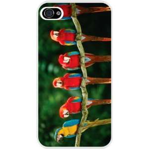 Red and Blue Parrots on Branch White Hard Case Cover for Apple iPhone 