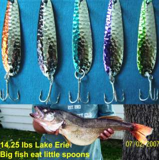   Hammered 2 3/8 (5) colorsTrolling Spoons Lake Erie Walleye Candy