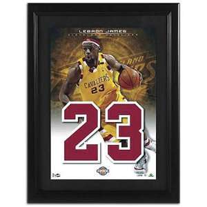 Cavaliers Upper Deck NBA Jersey Numbers Collection ( James, LeBron 