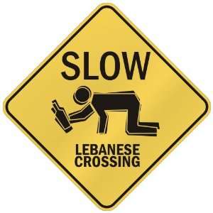   SLOW  LEBANESE CROSSING  LEBANON