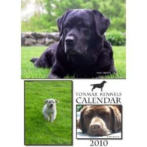 Labrador Retriever 2010 Wall Calendar