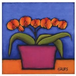  Orquidia Laranja by H. Alves 16x16