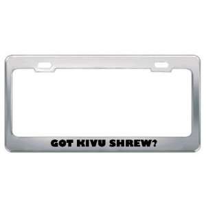Got Kivu Shrew? Animals Pets Metal License Plate Frame Holder Border 