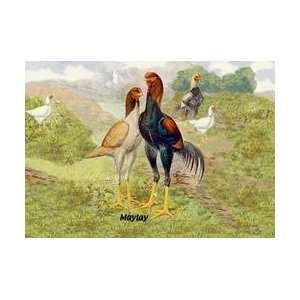  Malay (Chickens) 12x18 Giclee on canvas