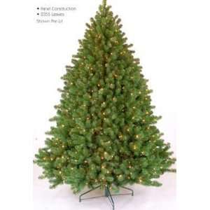 Tennessee Fir Christmas Tree SOLD OUT 