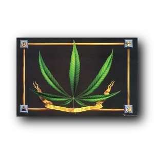  Weed Poster In Need High Marijuana Pot Leaf 22.5X34 203 