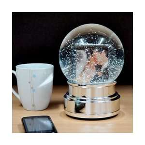  Personalised Jumbo Snow Globe Photoframe