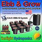 BRAND NEW CAP EBB & GRO AND GROW FLOW 12 SITE HYDROPONIC SYSTEM + BC 