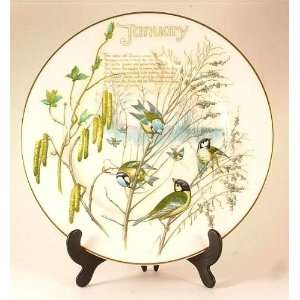    The January Plate   from The Country Diary of an Edwardian 