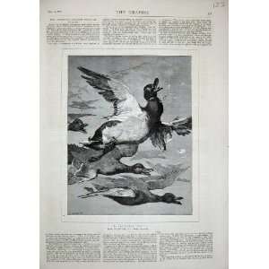  1879 Essex Clayton Ducks Birds Flying Nature Art