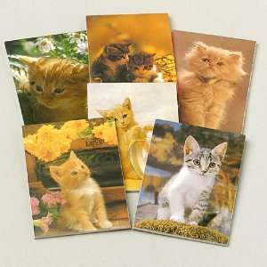  Lets Party By US Toy Cat Memo Pads Asst. (12 count 