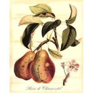  Custom Tuscan Fruits IV (AO)   Poster by Vision studio (15 