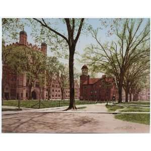  Reprint Phelps Hall and Lyceum, Yale College 1901