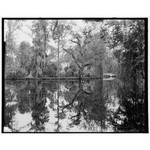 The lake,Magnolia on the Ashley i.e. Magnolia Gardens,Charleston,S.C.