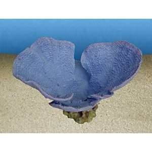 Natures Image Artificial Corals Bowl Turbinaria Blue  
