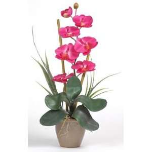   Stem Phalaenopsis Orchid Silk Flower Arrangement