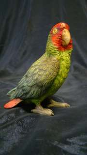 Lovely Colorful Austrian Bronze Parrot Excellent Colors  