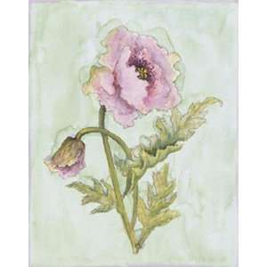 Lavender Poppy ll   Poster by Peggy Abrams (5x7) 
