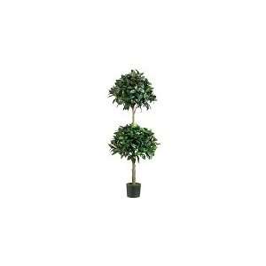  4 Double Ball Shaped Olive Topiary
