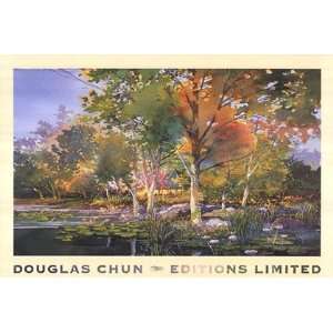  Birch Pond by Douglas Chun 36x24