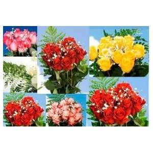 Dozen Roses 6 Dozen Red Roses & 6 Dozen Assorted Color Roses 144 Roses 