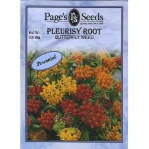  Butterfly Weed, Pleurisy Root Patio, Lawn & Garden