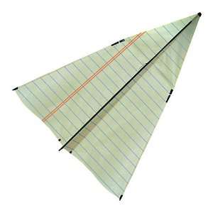 Cellular Kite Paper Airplane  Toys & Games  