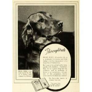  1938 Ad Sweet Caporal Cigarettes Irish Setter Mrs. M. A 