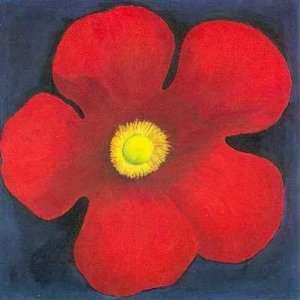  Great Red Flower Poster Print