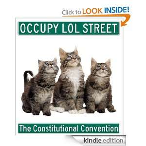 Occupy LOL Street The Constitutional Convention Travis Haan  